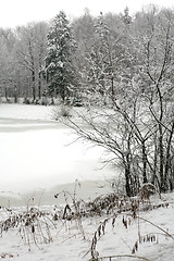 Image showing winter park