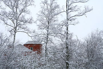 Image showing red house in winter wood  