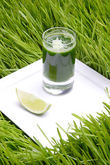 Image showing Drink, Wheat Fresh