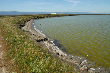 Image showing Shoreline