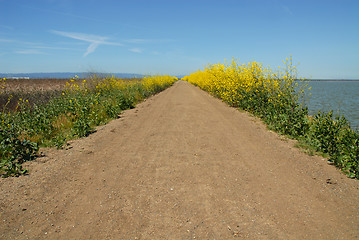 Image showing Walking path