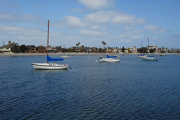 Image showing Sailboats