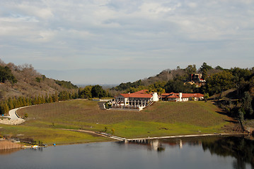 Image showing Vineyard