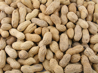 Image showing Peanuts