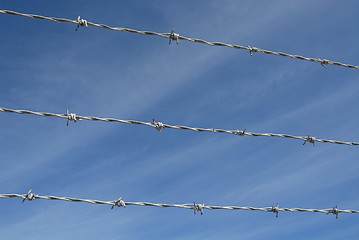 Image showing Barbed wire