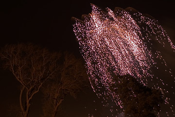 Image showing firework