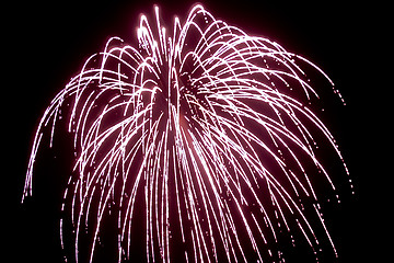 Image showing firework