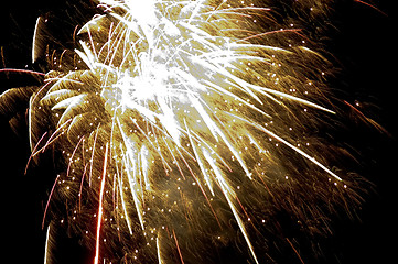 Image showing firework