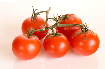 Image showing tomato