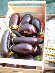 Image showing box of Aubergines