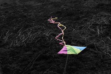 Image showing Laying kite 