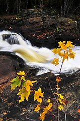 Image showing Forest river in the fall