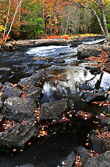 Image showing Fall forest and river landscape