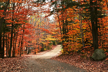 Image showing Autumn landscape with a path