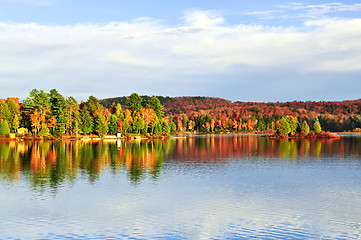 Image showing Fall forest reflections