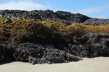 Image showing Striped Rock