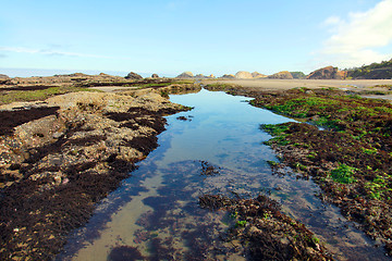 Image showing Tidepool