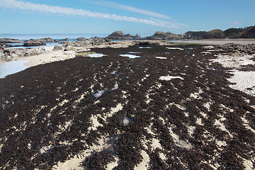 Image showing Oregon Coast