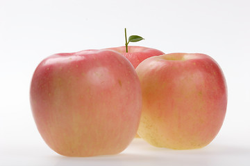 Image showing Fruits, Rose Apple