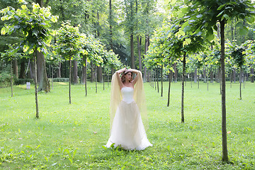 Image showing girl in the summer park