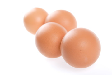 Image showing Egg, Bird