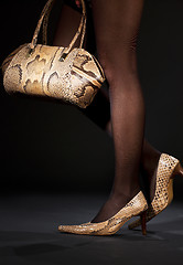 Image showing snakeskin shoes and handbag