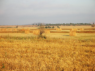 Image showing Magic fields. Cyprus