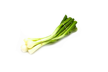 Image showing Bunch of spring onion