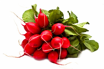 Image showing Bunch of fresh radish