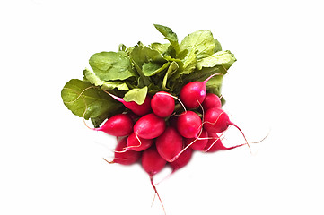 Image showing Bunch of fresh radish