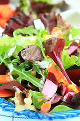 Image showing Mixed vegetable salad