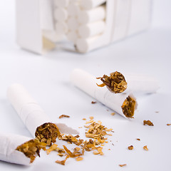 Image showing broken cigarettes