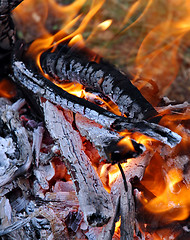 Image showing Fire flames