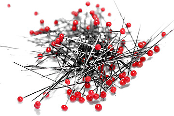 Image showing Red Needles