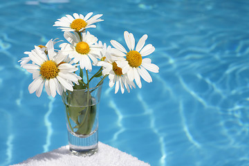 Image showing Daisies by Blue Water