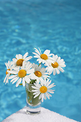 Image showing Daisies by Blue Water