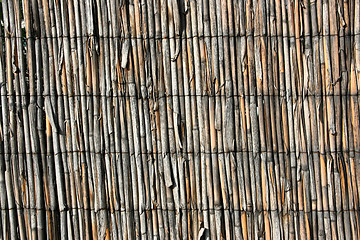 Image showing Bamboo texture