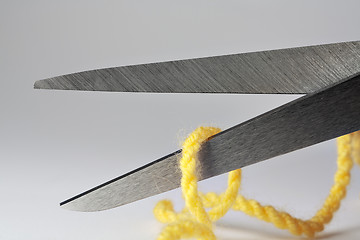 Image showing Scissors macro