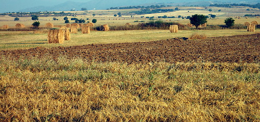 Image showing Fields panorama. Cyprus