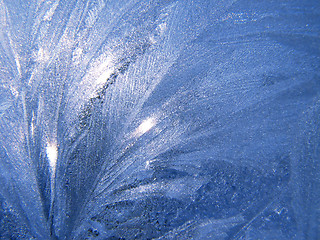 Image showing Frozen window