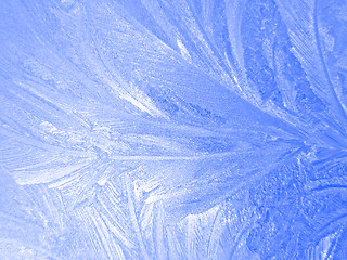 Image showing Frozen window