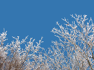 Image showing Winter sky