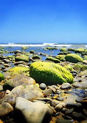 Image showing Stone Beach