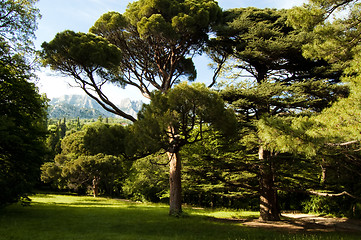 Image showing Vorontsovskiy park in Alupka Ukraine