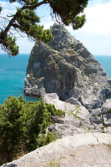 Image showing rock and beach in Simeiz