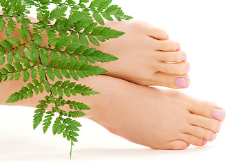 Image showing female feet with green leaf