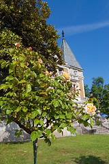 Image showing massandra palace