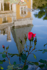 Image showing massandra palace