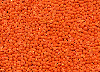 Image showing Lentils texture