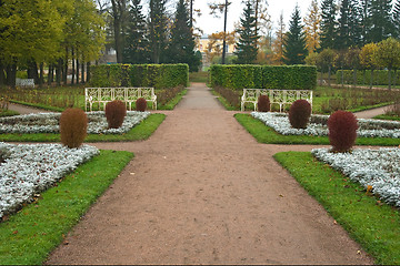 Image showing Park alley